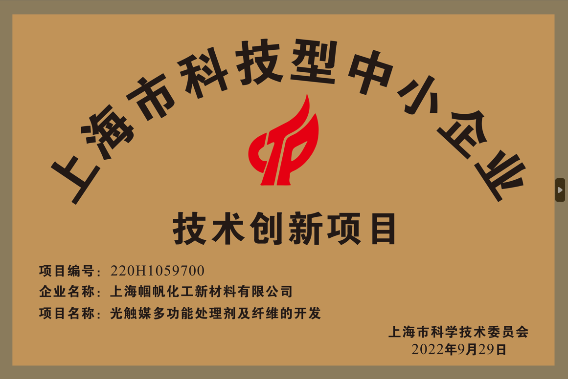 上海幗帆-上海市科技型中小企業(yè)技術(shù)創(chuàng)新項(xiàng)目